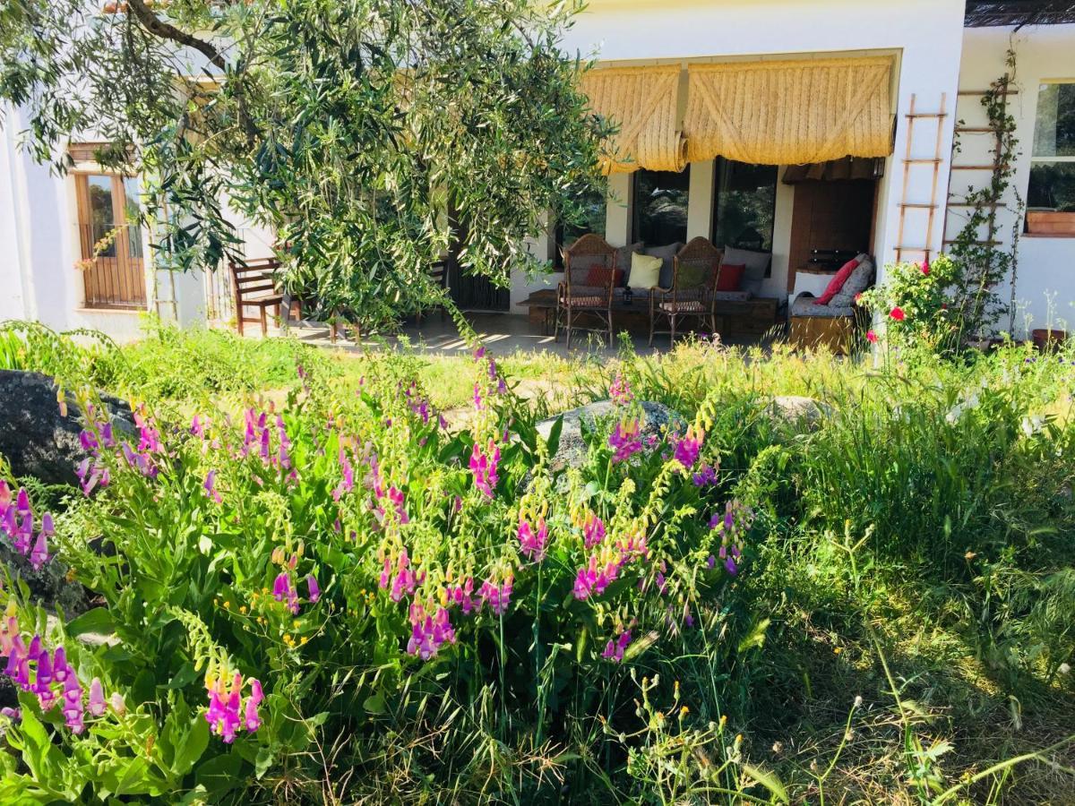 Flores Amarillas B&B Almoharin Ngoại thất bức ảnh